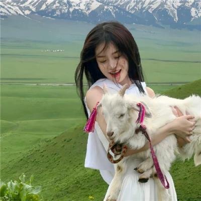 反诈风暴之不可饶恕 高清播放